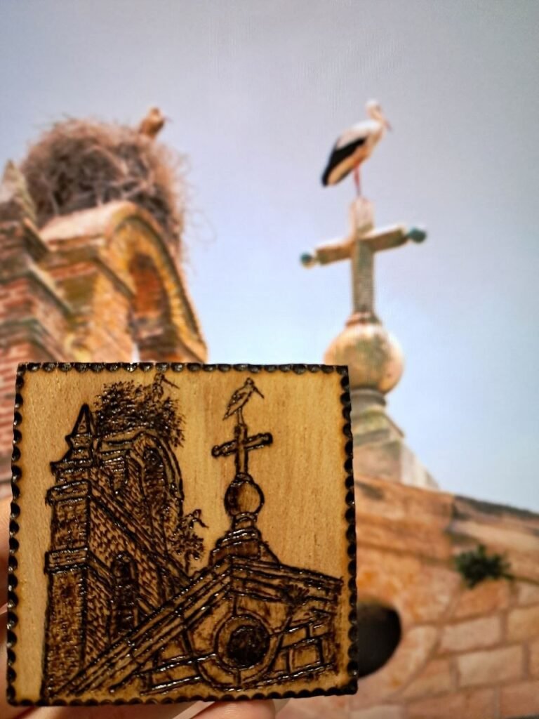 Cigüeñas en Alba de Tormes